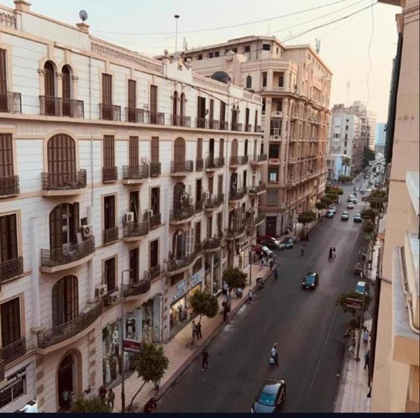 Pharoah'S Palace Hotel 开罗 外观 照片